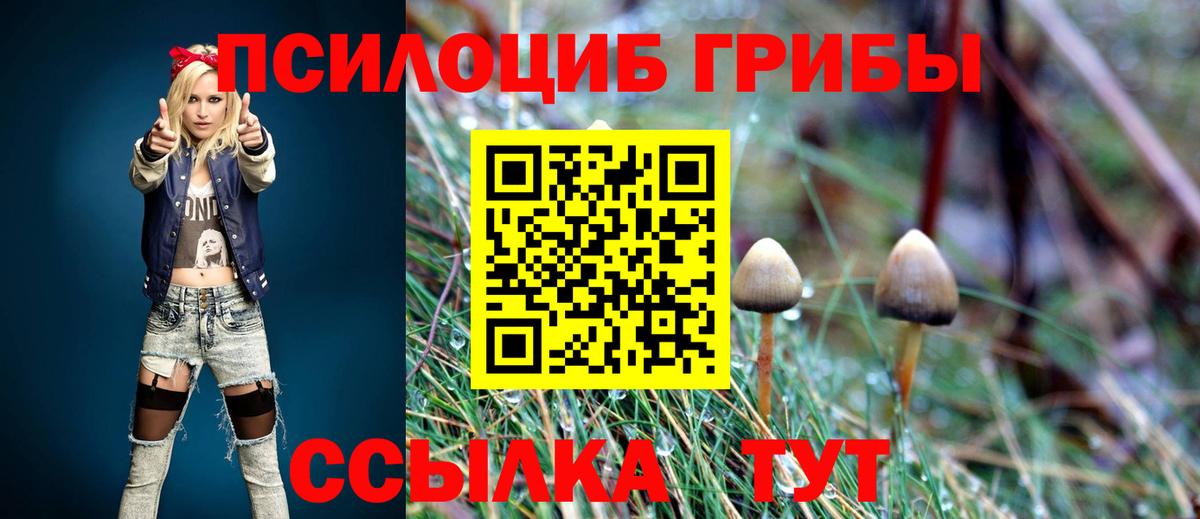 Галлюциногенные грибы MAGIC MUSHROOMS  Вход с VPN  Галлюциногенные грибы ЛСД  Красногорск 
